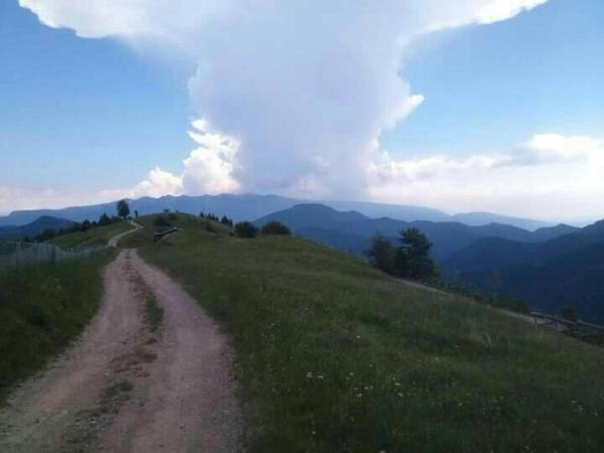 B&B Tulipano Crone ภายนอก รูปภาพ